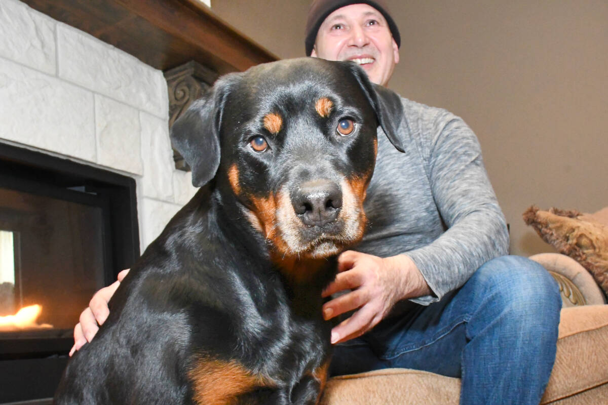 Langley Rottweiler gifts $10K in groceries to strangers | Langley